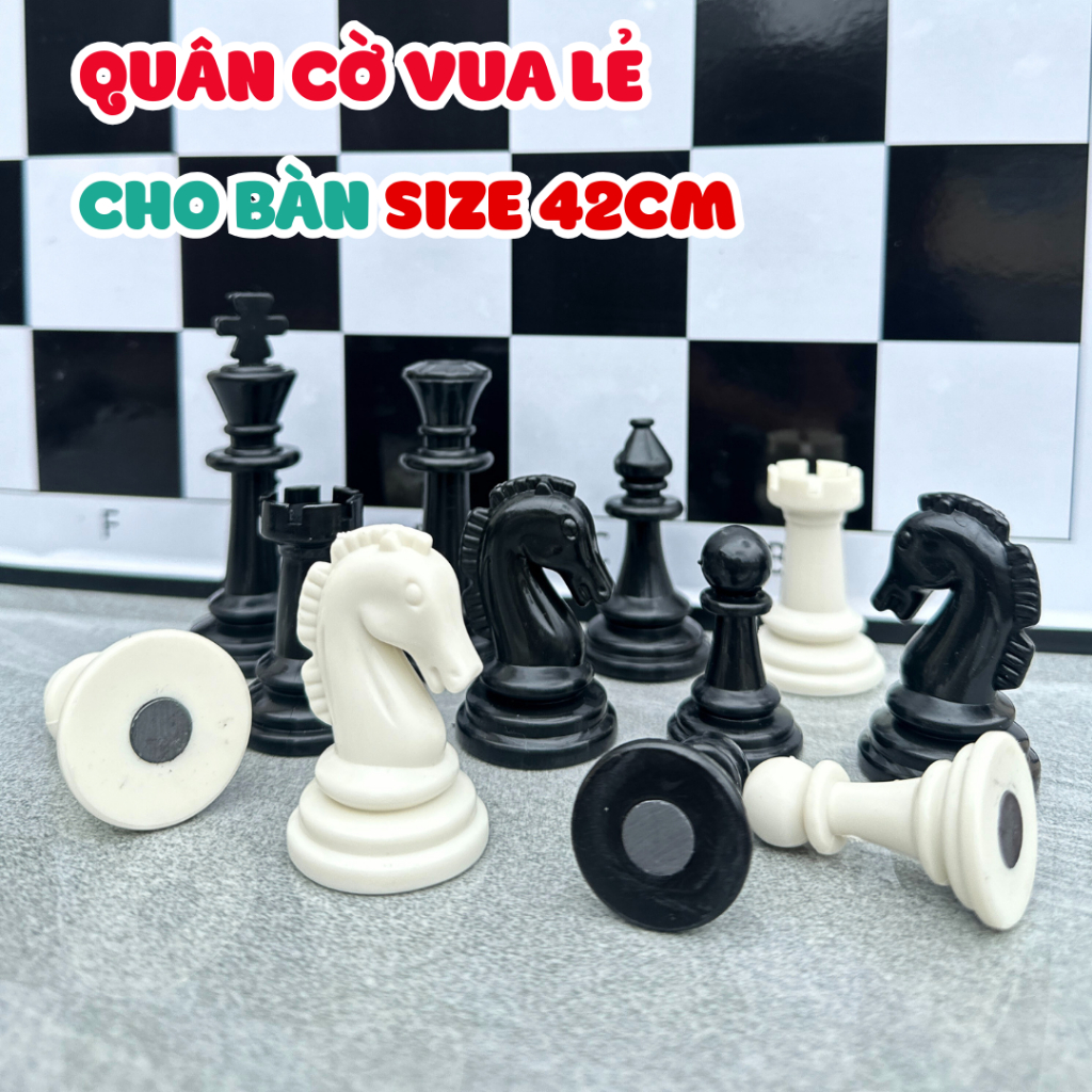 Odd Large Black and White Magnetic Chess Pieces Suitable for Chess ...