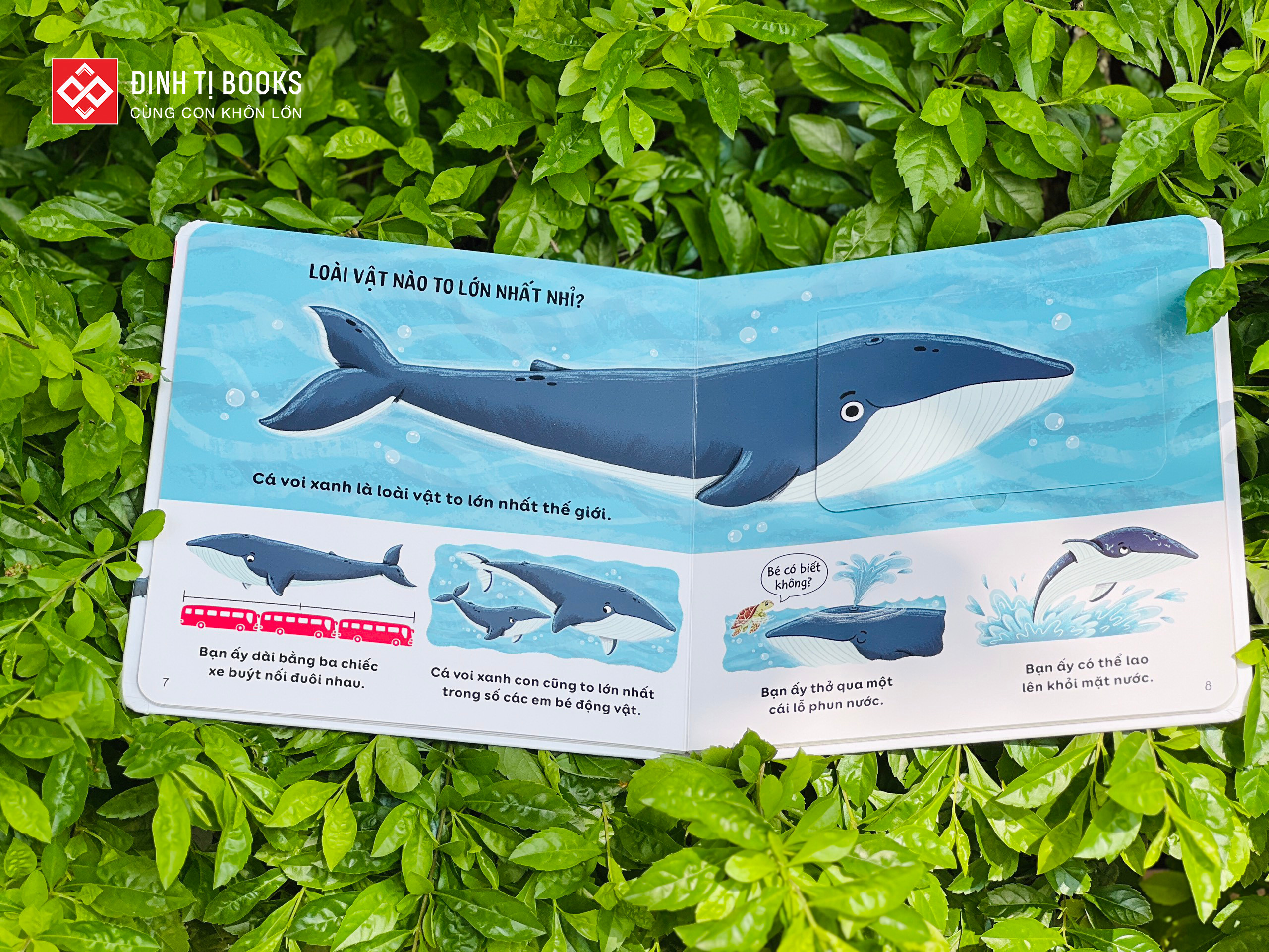 Lift The Flap Interactive Book - Lift The Flap (For children from 2 - 6 ...