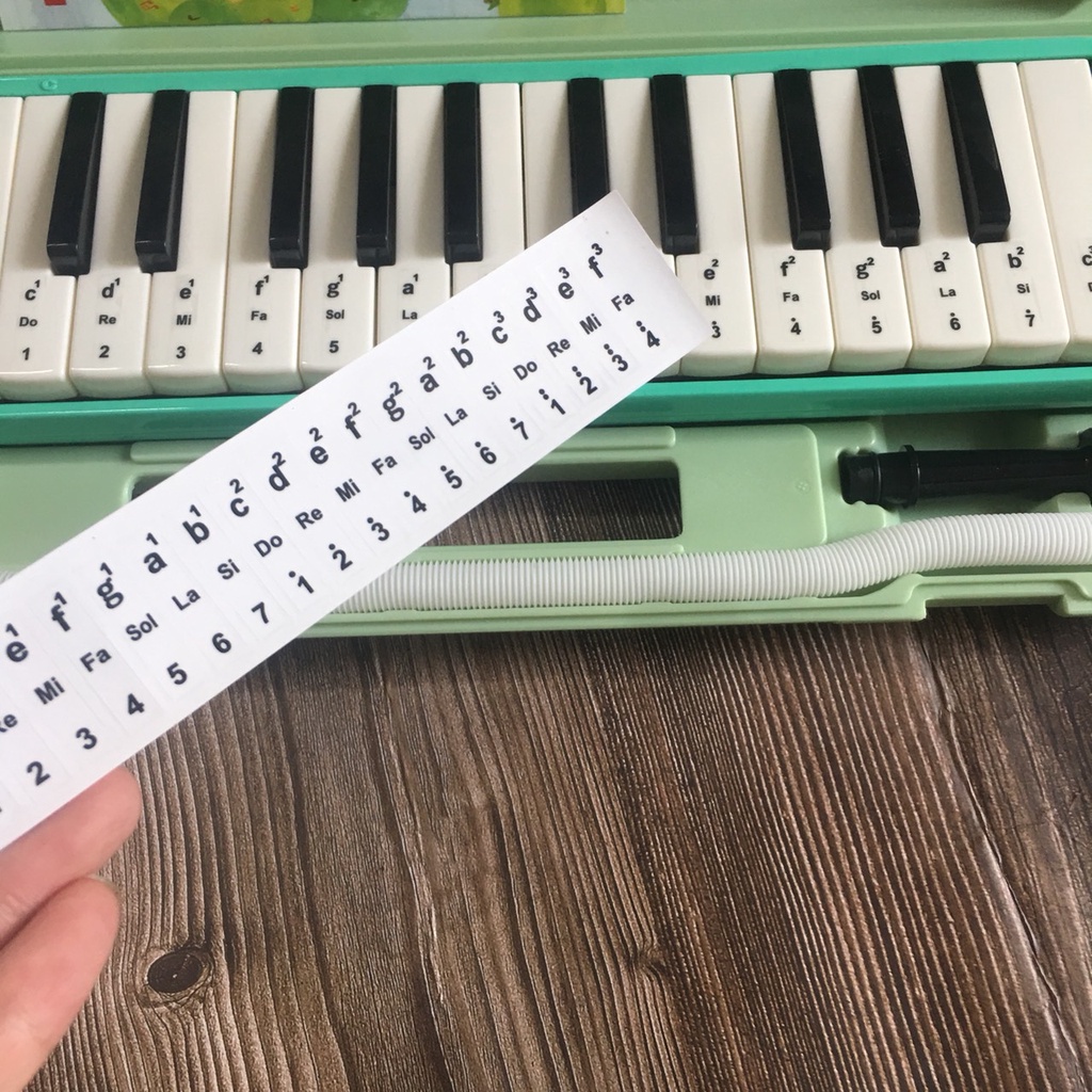 Key note Sticker for melodyon(melodica)32-37 keys | Shopee Malaysia