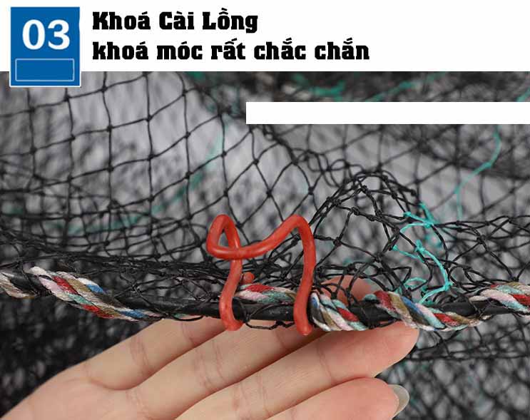 XO Spring Cage for Catching Crabs, Frogs, Turtles, Turtles, Frogs [A ...