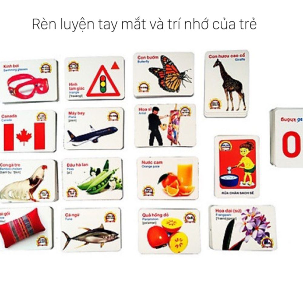 Jiayi Baby smart learning card set with 16 English and Vietnamese ...