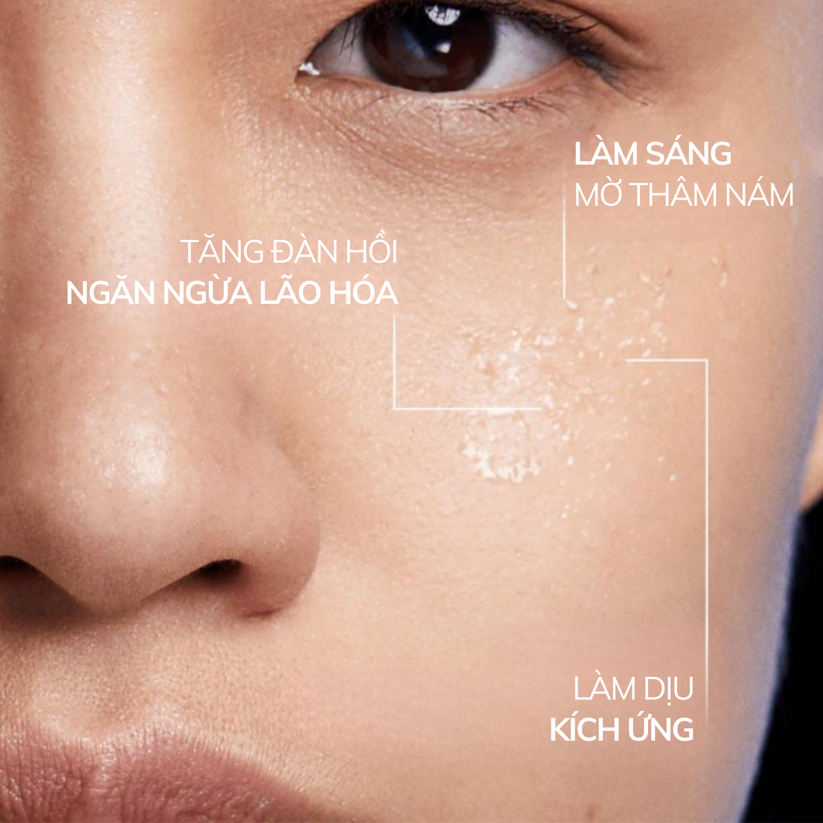 Compliment Vitamin C Skin Care Serum Moisturizes and Restores Skin