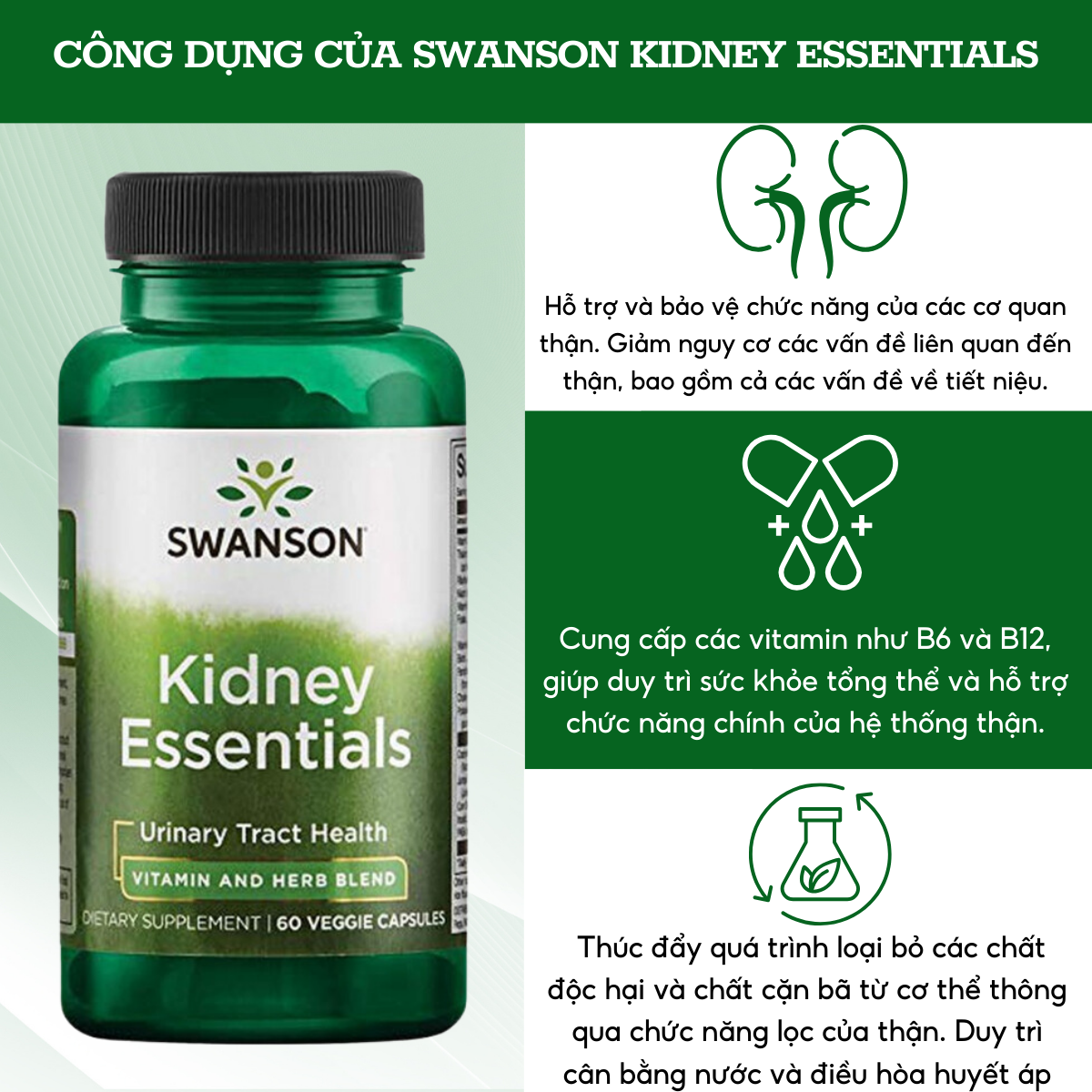 Supports Kidney health, reduces Kidney stones, prevents urinary tract