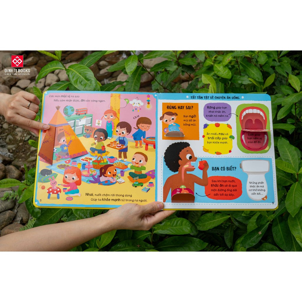 Book - Lift the flap - First knowledge for children from 0 - 6 years ...