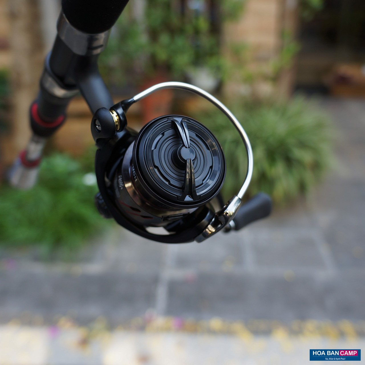 Daiwa Tatula LT Vertical Fishing Reel | 19 - Air Rotor, DigiGear, ATD ...