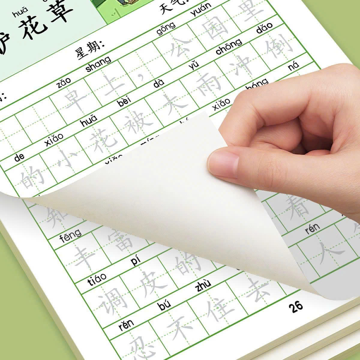Combo of 2 notebooks showing pictures of Writing Chinese Characters HSK ...