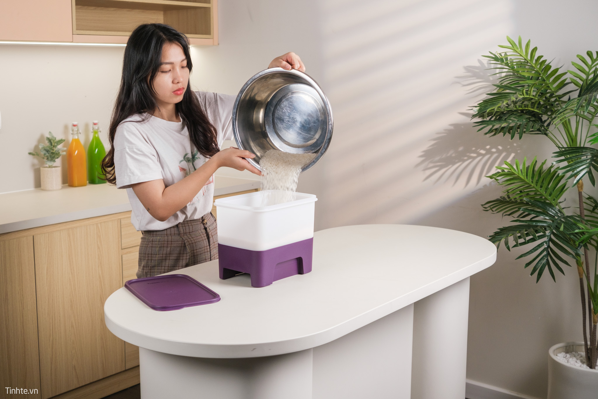 Tupperware Rice Smart Junior 5kg/ 10kg - Termite Resistant - Virgin ...