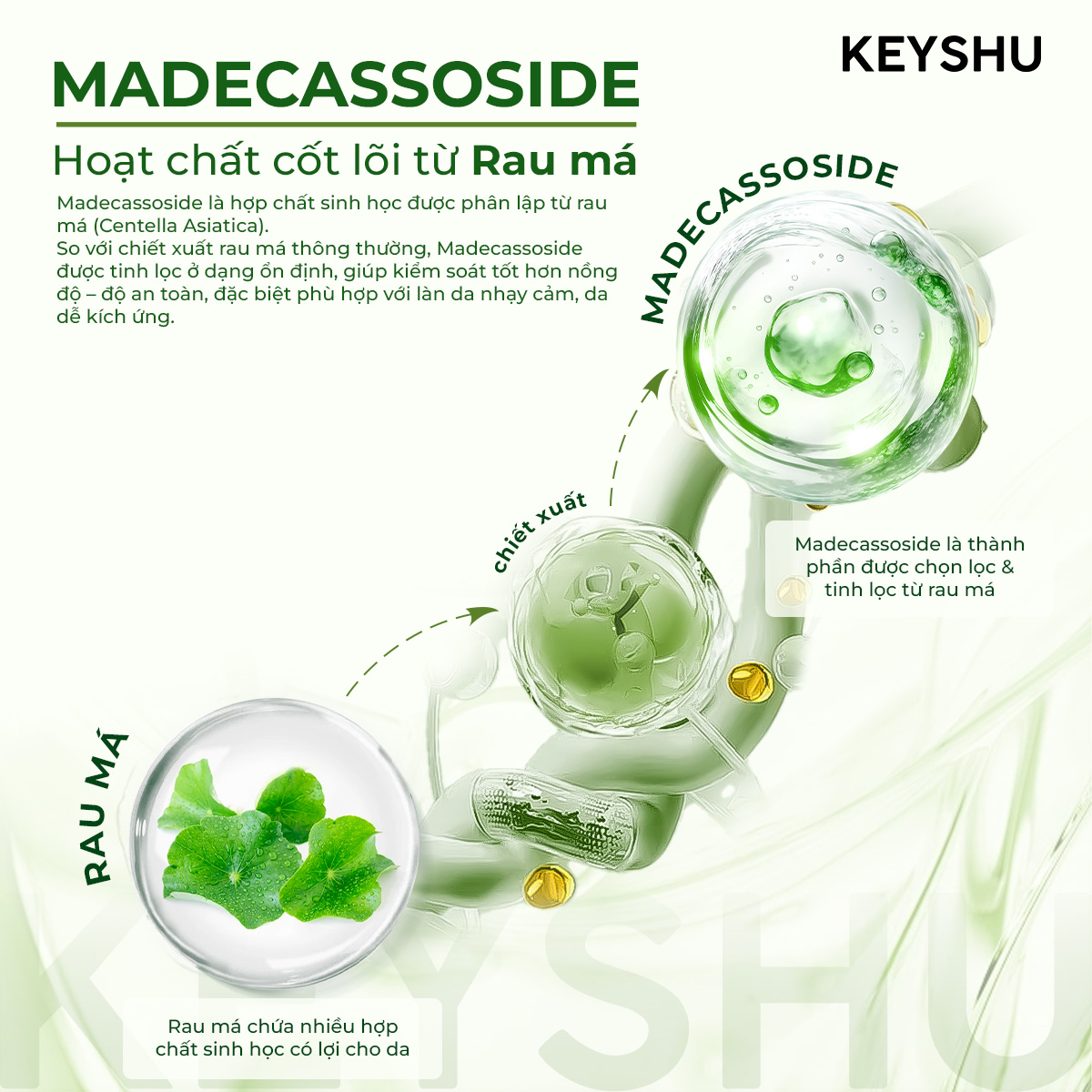 1 Piece Bioessence Mask Premium KEYSHU Moisturizing, Softening ...