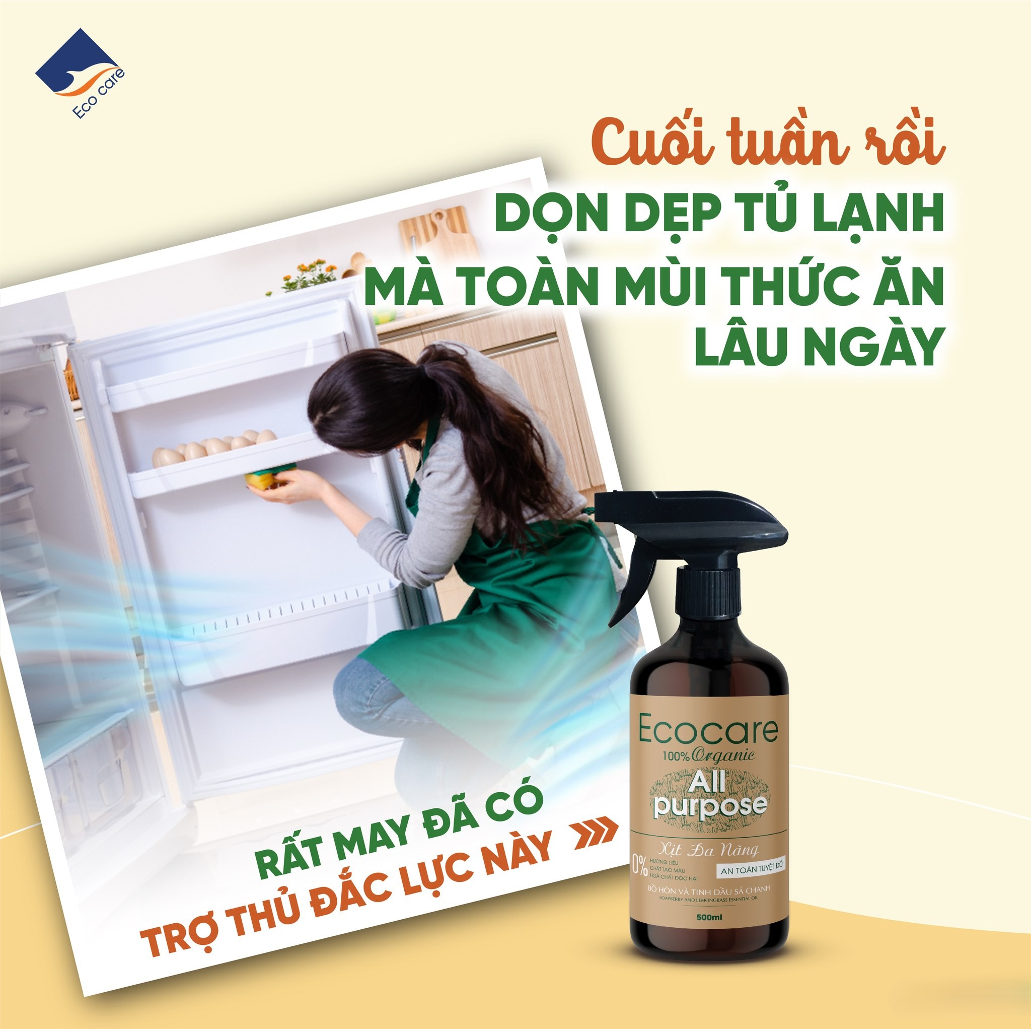 ECOCARE Organic Soap Multi-Purpose Cleaner 4 liters - Free 500ml bottle ...