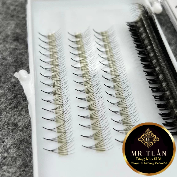 Premade Mi Fan 6D Wire Cutting 0.07 thick Box of 500 fans small glue